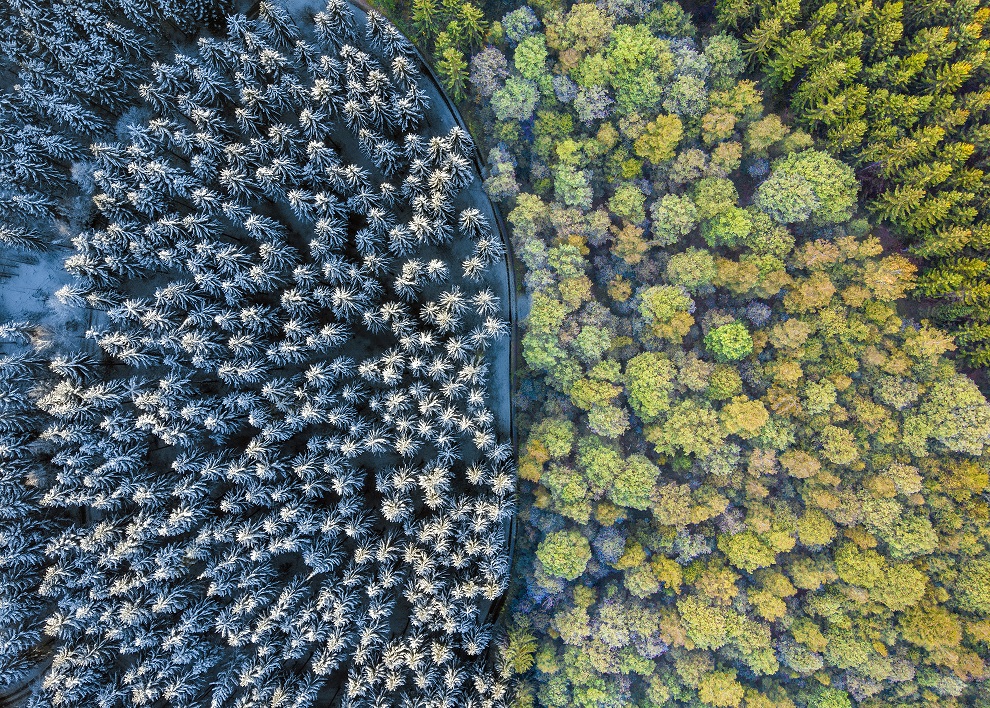Aerial photography of a colorful forest and a forest covered in the snow under sunlight An aerial photography of a colorful forest and a forest covered in the snow under sunlight